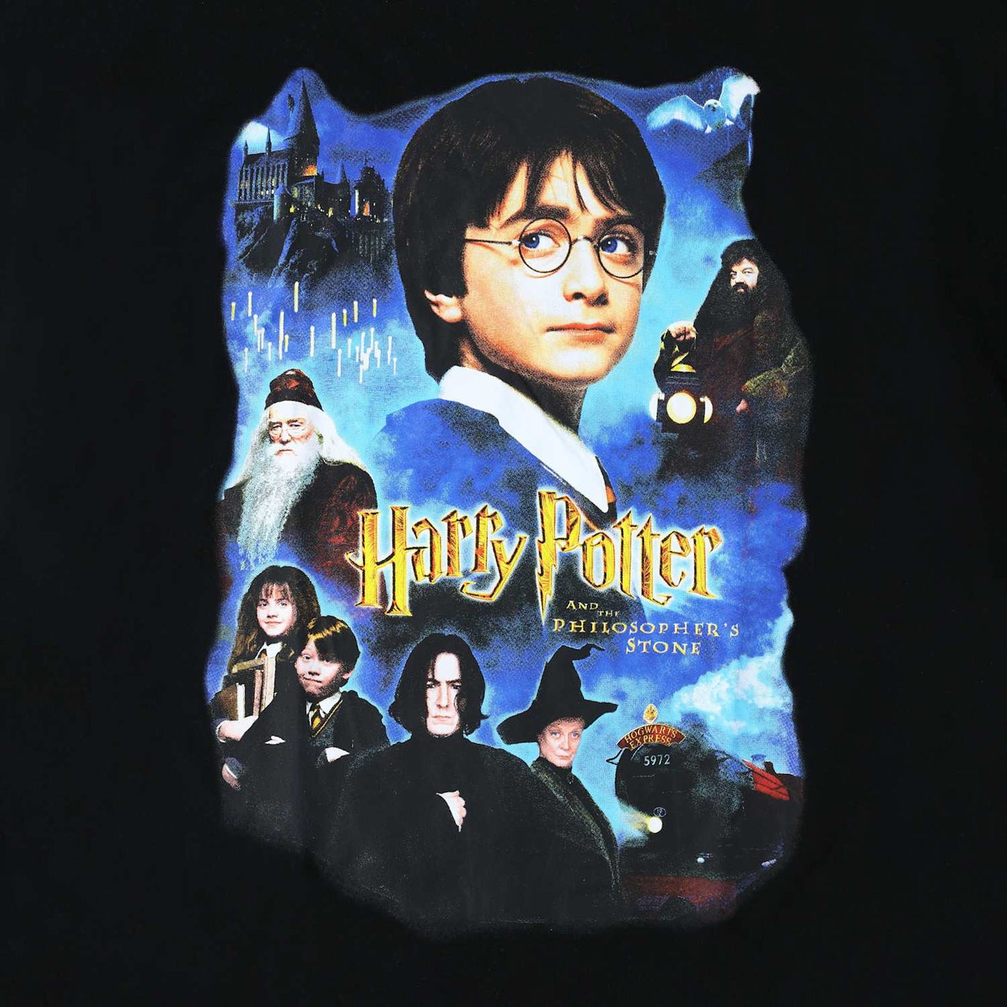 Playera de Harry Potter y la piedra filosofal