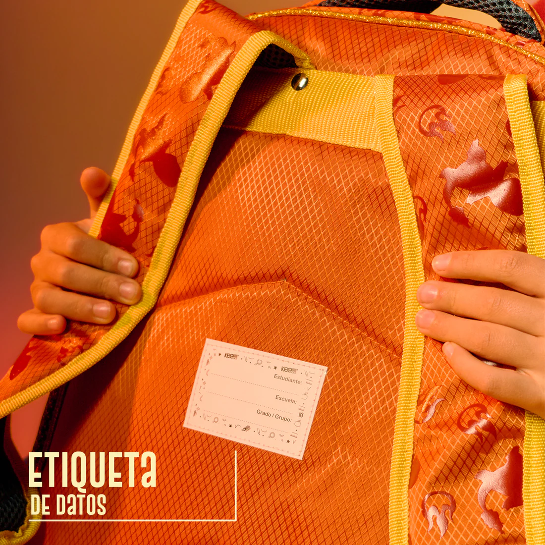 Mochila Escolar de Pokémon Tipo Fuego Edición 05