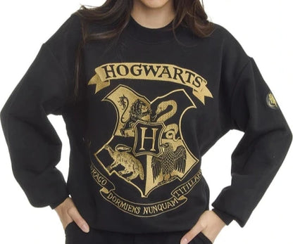 Sudadera Harry Potter de Hogwarts