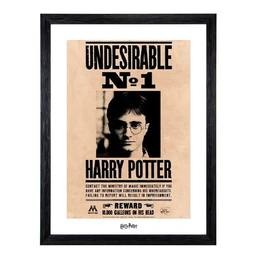 Póster Enmarcado de Harry Potter Undersirable N.1