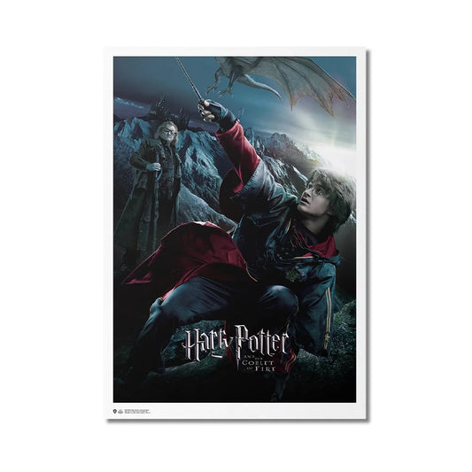 Póster Harry Potter - El Cáliz De Fuego