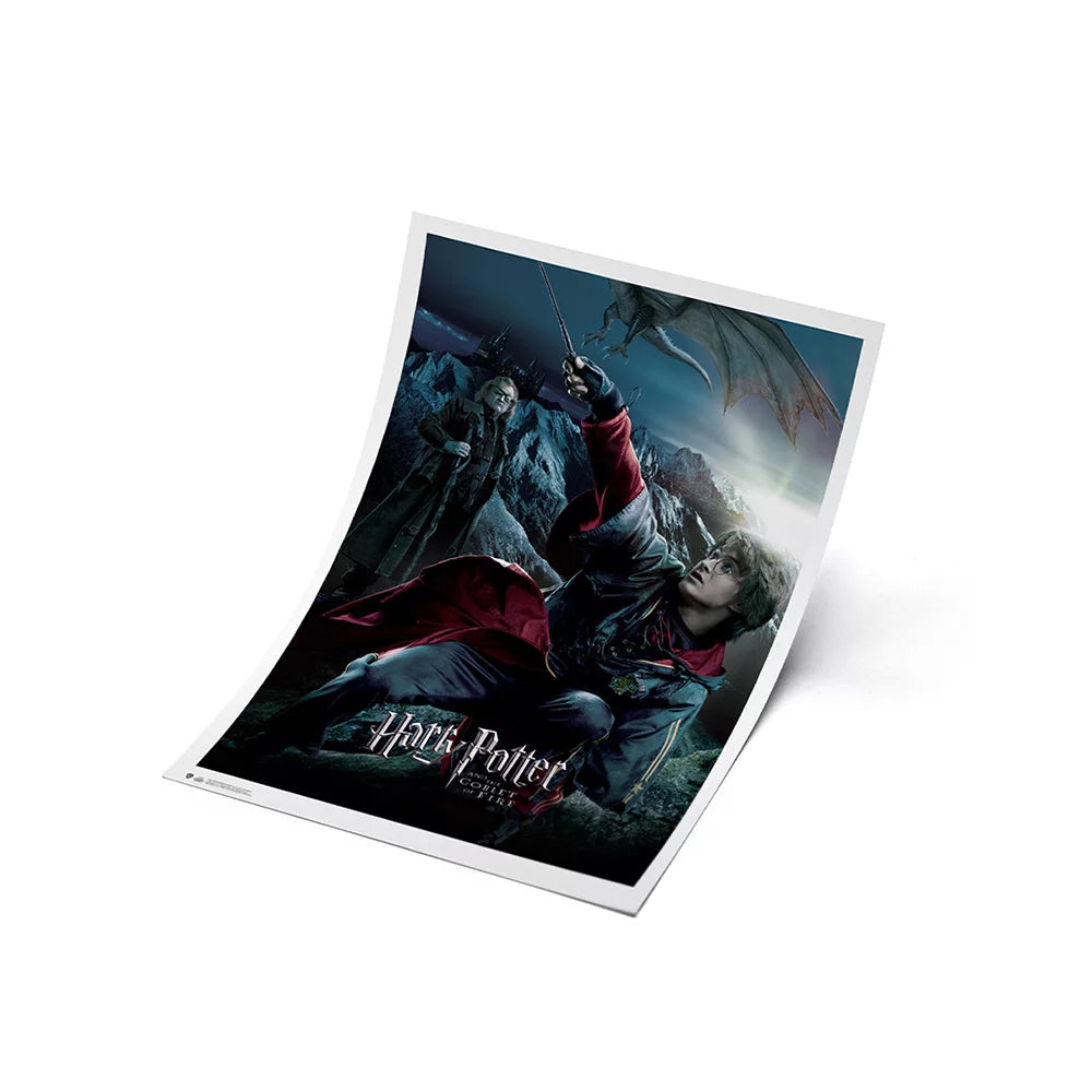 Póster Harry Potter - El Cáliz De Fuego