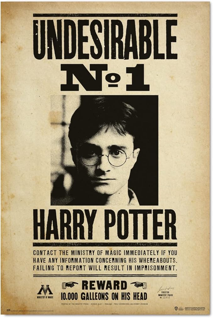 Poster Harry Potter reward undesirable
