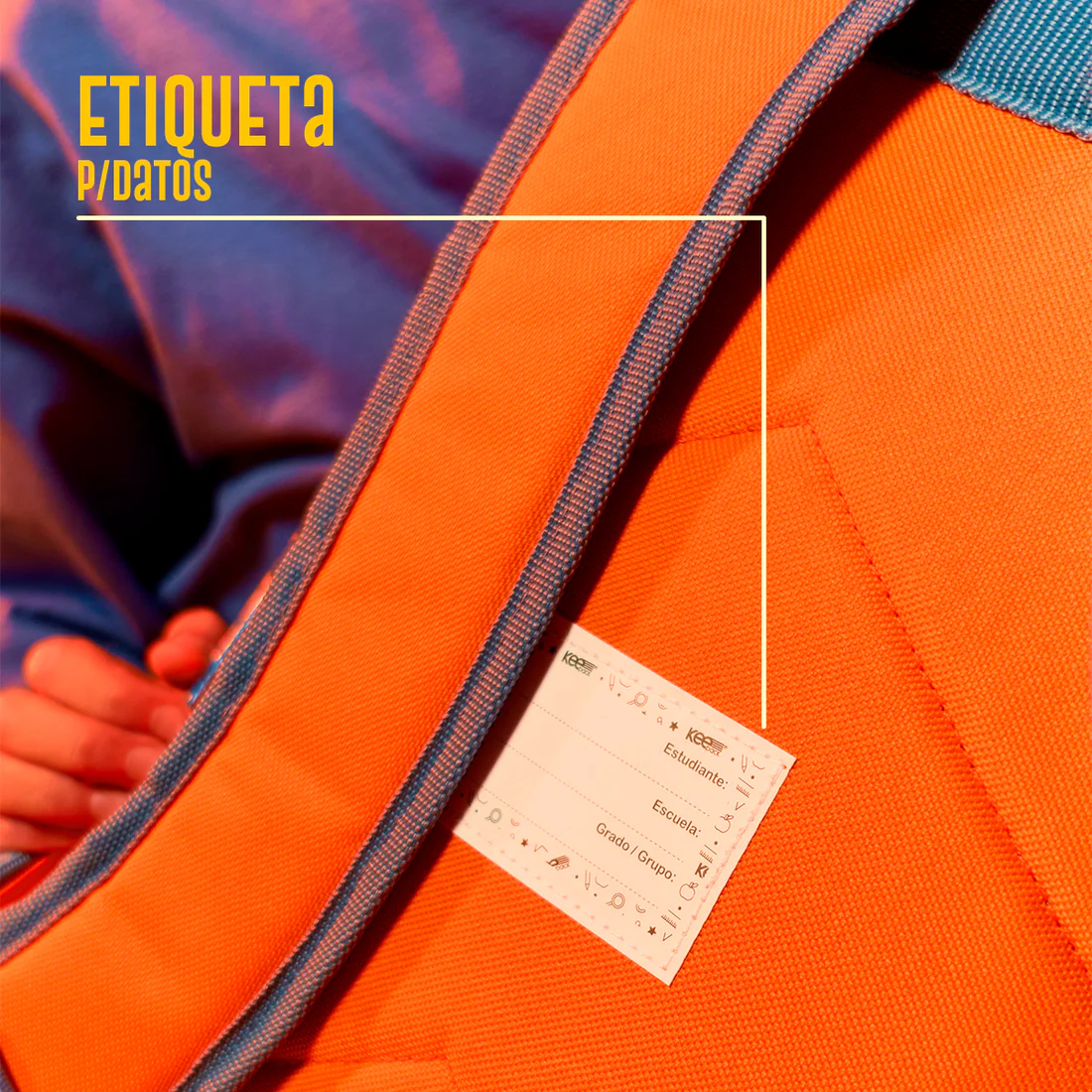 Set Escolar Mochila, Lonchera y Estuchera de Pokémon Charizard #0004 Edición