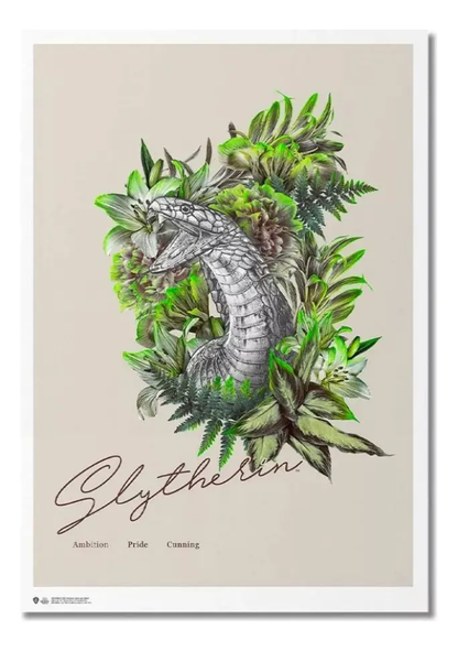 Póster Harry Potter de Slytherin